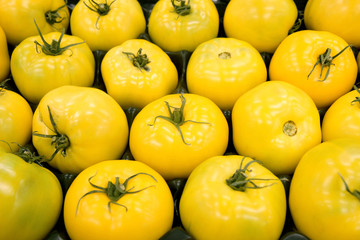 Yellow tomatoes on the market