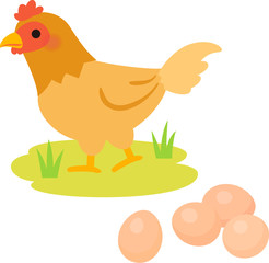 放し飼いの鶏と卵