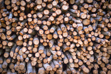 firewood pile stack of wood branch / dry chopped firewood logs background