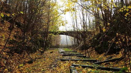 Old Deserted Ruin of Railway Bridge in Autumn Forest with Falling Yellow Leaves on Railroad
