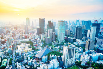 Fototapeta premium skyline aerial view in Tokyo, Japan