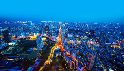 skyline aerial nigh view in Tokyo, Japan