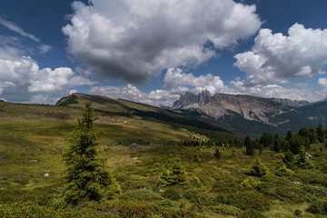Fototapeta premium Raschötz - Höhenweg