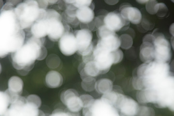  Natural background blur.