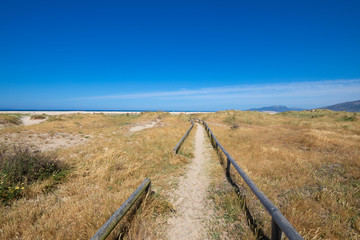 Fototapeta na wymiar landscape of wild path with wooden old banisters, sand and plants, to preserve nature in Los Lances Beach, next to Tarifa town (Cadiz, Andalusia, Spain). Atlantic ocean in the horizon