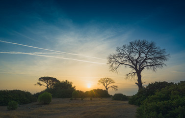 Orange sunrise over the Cirali beach