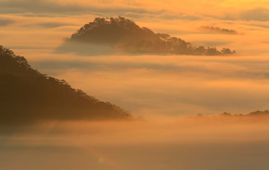 Amazing view of mountain, mist & cloud when dawn coming..