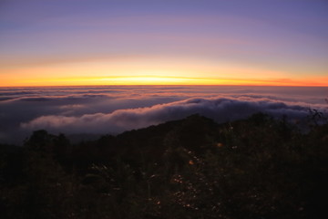 morning golden light during sunrise above the mountain and fog with grass on foreground