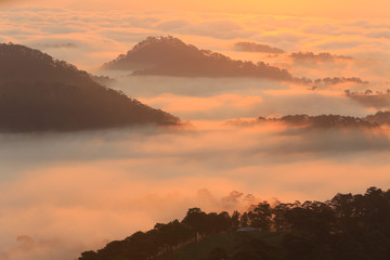 Amazing view of mountain, mist & cloud when dawn coming..
