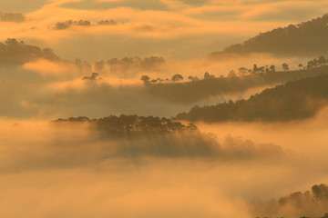 Amazing view of mountain, mist & cloud when dawn coming..