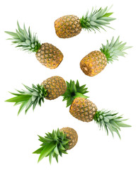 Falling pineapple isolated on white background, clipping path, full depth of field