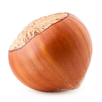 hazelnut isolated on white background, clipping path, full depth of field