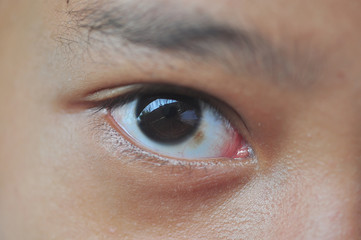 Obraz premium close up of eye
