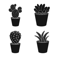 Vector design of cactus and pot sign. Set of cactus and cacti vector icon for stock.