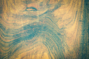 Wood background with beautiful annual ring, wood background for graphics