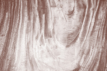 Wood background with beautiful annual ring, wood background for graphics