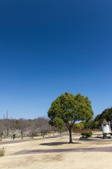 南部丘陵公園／三重県四日市市