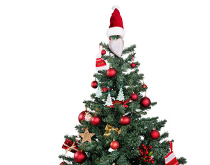 christmas tree isolated on a white background