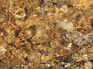 Water in the river