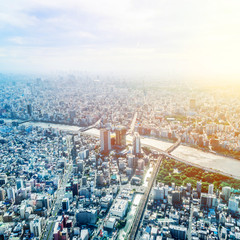 city urban skyline aerial view in koto district, japan