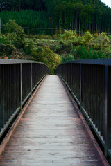 Fototapeta na wymiar Bridge and handrail 