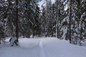 Vrata - Tal im Winter