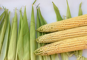 Corn on white background.