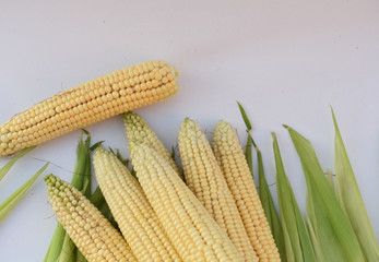 Yellow corn on green leaves.
