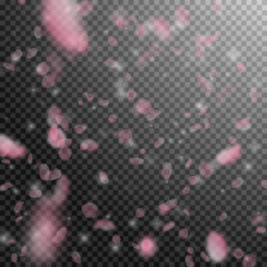 Sakura petals falling down. Romantic pink flowers 