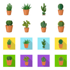 Isolated object of cactus and pot logo. Set of cactus and cacti vector icon for stock.