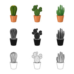 Vector illustration of cactus and pot logo. Collection of cactus and cacti vector icon for stock.