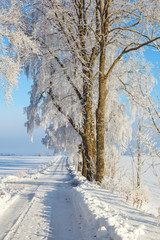 Obraz premium Country road with snow and frost