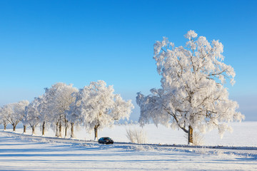 Car on a road in a winter landscape