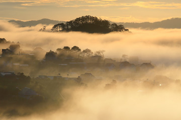 Fototapeta premium Fantastic foggy village in the sunlight in Dalat, Vietnam