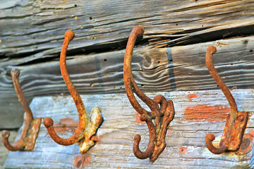 Obraz premium One sunny day in the village, near the house, a lot of pets, bright gorgeous flowers, fields, juicy vegetables, fruits, evening bright sparkling bonfire.