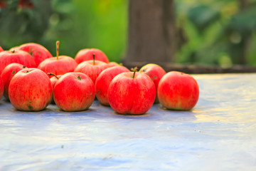 One sunny day in the village, near the house, a lot of pets, bright gorgeous flowers, fields, juicy vegetables, fruits, evening bright sparkling bonfire.