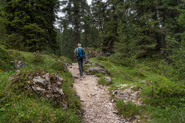 Obraz premium Adolf - Munkel - Weg, Südtirol