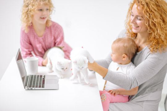 young family having fun with fluffy little kitens. close up photo.close up photo.