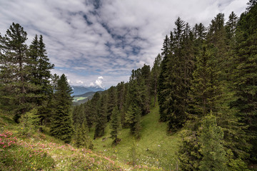 Fototapeta na wymiar Adolf - Munkel - Weg, Südtirol