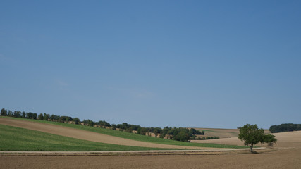 Fototapeta na wymiar Farmland and clear sky