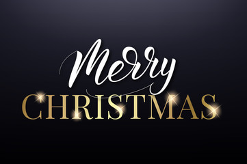 Merry Christmas. Typography lettering label Xmas design.
