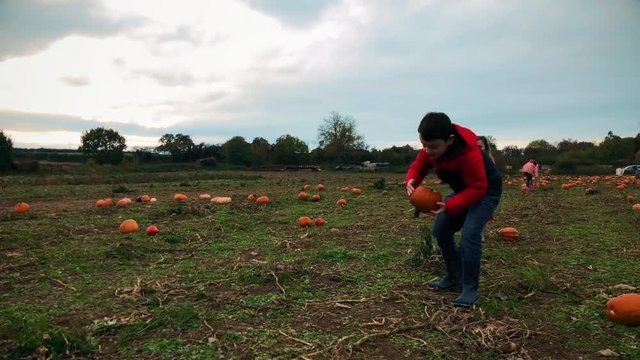 Children picking pumpkins from a farm for Halloween