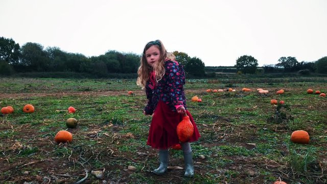 Little girl choosing a pumpkin for Halloween