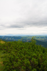 Naklejka premium panorama of mountains