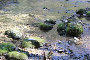 GORGES DU BRUYANT - LANS EN VERCORS - ISERE - FRANCE