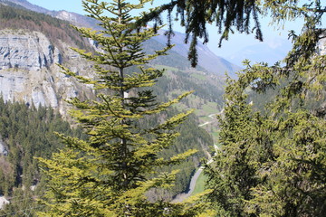 GORGES DU BRUYANT - LANS EN VERCORS - ISERE - FRANCE