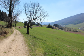 GORGES DU BRUYANT - LANS EN VERCORS - ISERE - FRANCE