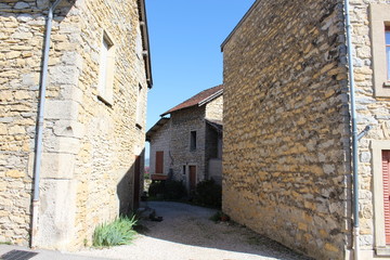 VILLAGE DE TREPT ET LAC - ISERE - FRANCE