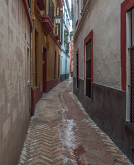 Obraz premium narrow street in old town