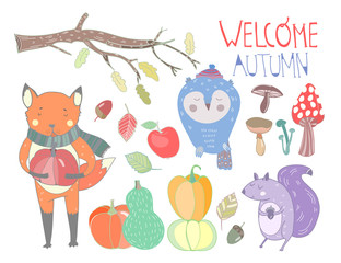 Welcome autumn. Cute forest animals. Colored graphic vector set. All elements are isolated